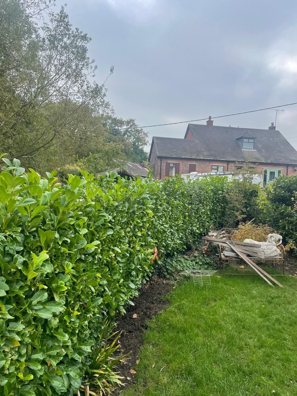 Hedge trimming before — North Wales